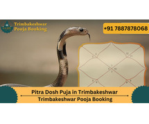 Pitra Dosh Puja in Trimbakeshwar | Trimbakeshwar Pooja Booking