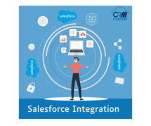 Pioneering Customized Salesforce Integration for Business Success