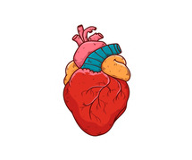 Cardiac Care in India - heart specialists surgeons | cardiologist