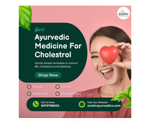 Best Ayurvedic Medicine for Cholesterol : You Should Try!