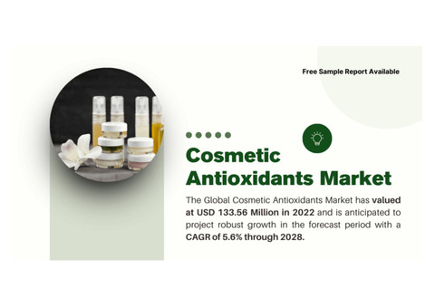 Cosmetic Antioxidants Market Overview: Robust Growth Expected with a [5.6%] CAGR