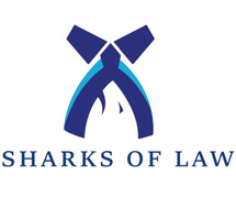 Top Child Adoption Lawyers in India