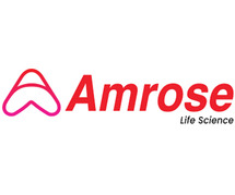 Cost-Effective Lactose Granules for High-Quality Pharma Use – Amrose Lifescience LLP