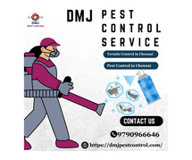 Pest Control in Chennai