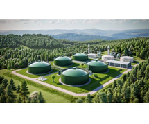 Anaerobic Digester System | WOG Group