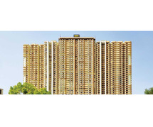 Luxury 3 BHK and 4 BHK Flats at Saya Gold Avenue, Indirapuram