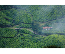 Cochin Munnar Thekkady Alleppey Package