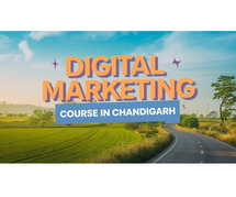 Digital Marketing Course in Chandigarh