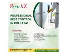 Professional Pest Control Services in Kolkata – PestoNIX