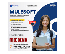 MuleSoft Course Online | MuleSoft Training in India