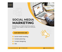 Best Social Media Marketing Service | Brandistry