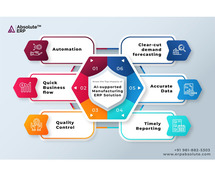 Optimize Your Automotive Parts Manufacturing with Absolute ERP!