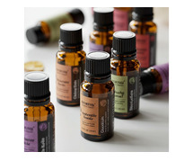 Premium Scent Marketing Solutions In Delhi
