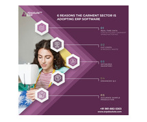 Revolutionize Your Apparel Business with Smart ERP Software!