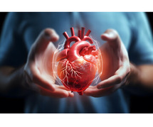 Heart hospitals Amritsar
