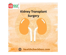 Kidney Transplant Surgery At An Affordable Price