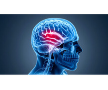 Head Trauma treatment in Kerala