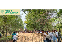 Is reforestation being promoted in Hyderabad ?