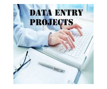 Data entry project provider