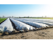 Top Quality Agriculture Non Woven Fabric Manufacturer