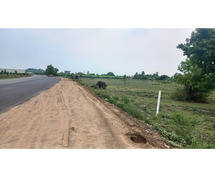 dtcp approved plots for sale at palayaseevaram