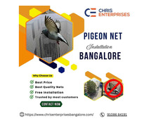Pigeon Net Installation Bangalore