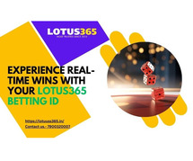 Experience Real-Time Wins with Your Lotus365 Betting ID