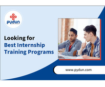 Looking for Best Internship Training Programs