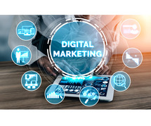 Grow Your Business with Expert Digital Marketing Services in Delhi