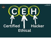 CEH Institute in Jaipur