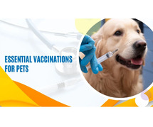 Essential Vaccinations for Pets : APC Pet Clinic: Best Pet Clinic In Kolkata