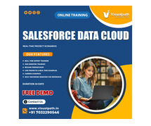 Best Salesforce Data Cloud Training in Hyderabad