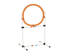 Shop Dog Agility Equipment for Training & Fun  - K9 Escapade