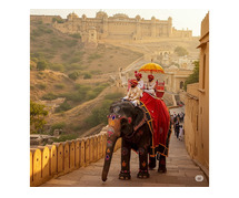 Book Your Amber Fort Elephant Ride Online