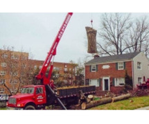 Professional Commercial Tree Service in NJ