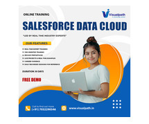 Best Salesforce Data Cloud Online Training | Visualpath