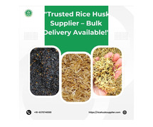 Trusted Rice Husk Supplier – Bulk Delivery Available!"