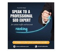 Need SEO Help? Speak to a Professional SEO Expert | Free Consultation!
