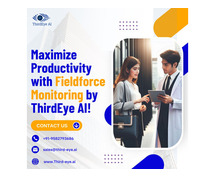 Maximize Productivity with Fieldforce Monitoring by ThirdEye AI