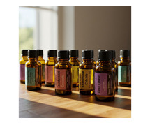 Transform Your Business Atmosphere with Professional Scent Marketing