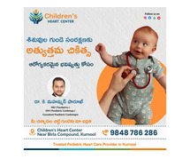 Best Rodent Removal Solutions in Kurnool
