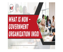 What is non government organization (NGO)