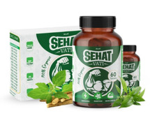 Sehat Vati - Best Ayurvedic Weight Gainer