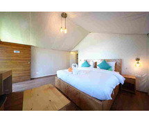 Treetop Glamps -  Luxury Glamping Retreat in Uttarakhand