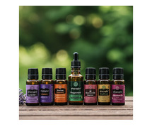Enhance Spaces with Proven Aroma Marketing Solutions