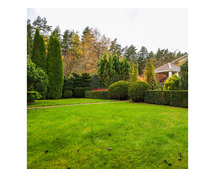 Transform Your Outdoor Space with Expert Garden Landscaping and Lawn Care Services in Auckland