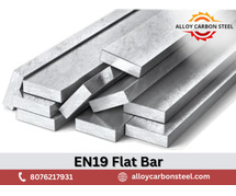 EN19 Flat Bar