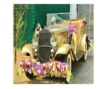 Turn Heads with Vintage Cars for Rent at Weddings