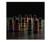Enhance Your Brand with Professional Scent Marketing in India