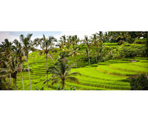 5 Star Hotels in Bali | Book Luxury Hotels in Bali at best value